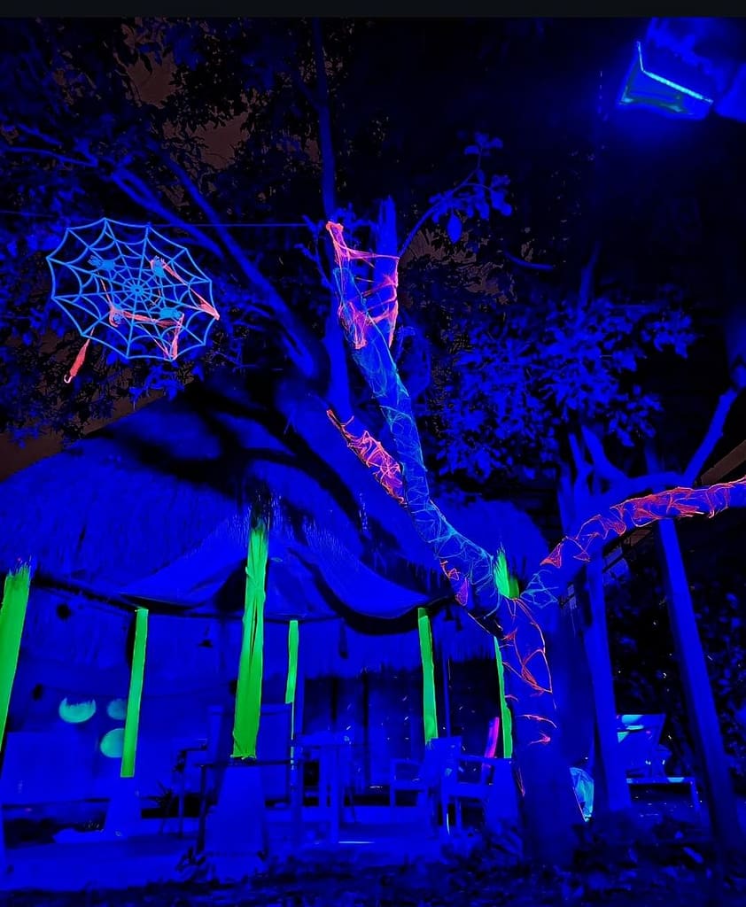 WhatsApp Image 2025-10-03 at 12.53.16 PM (1)